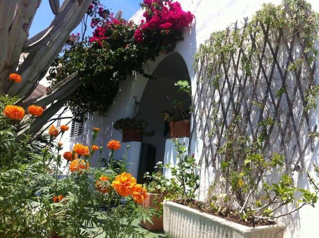 Villa Tranquila Órzola Exterior foto